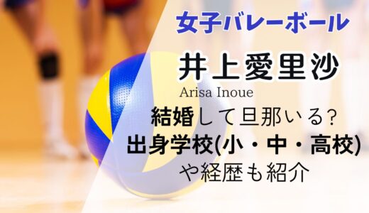 井上愛里沙(バレー)結婚して旦那いる?出身学校(小・中・高校)や経歴も紹介