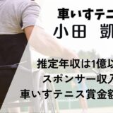 小田凱人の推定年収は1億以上?スポンサー収入や車いすテニス賞金額も調査